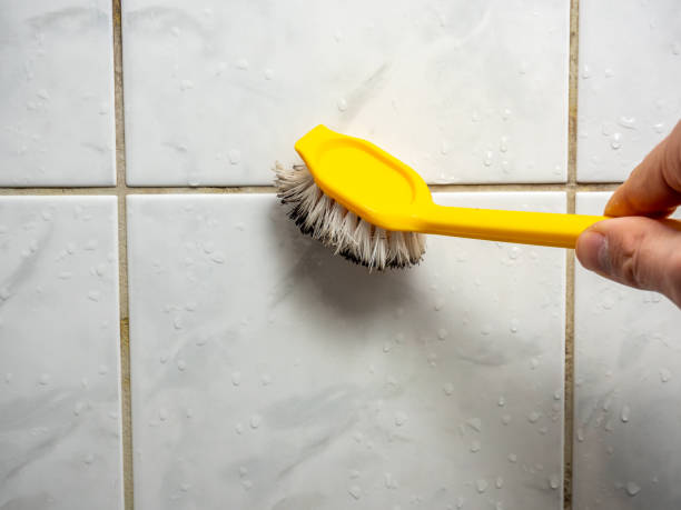 Best Bathroom Mold Remediation in Royal Oak, MI