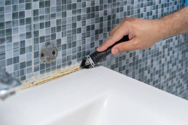 Trusted Royal Oak, MI Mold Remediation Experts