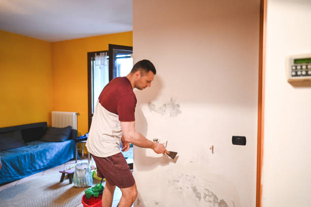 Best Mold Testing and Inspection Services in Royal Oak, MI